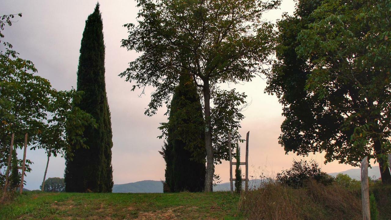 Agriturismo Casa Agricola Rossi Appartamenti In Casentino Soci 外观 照片