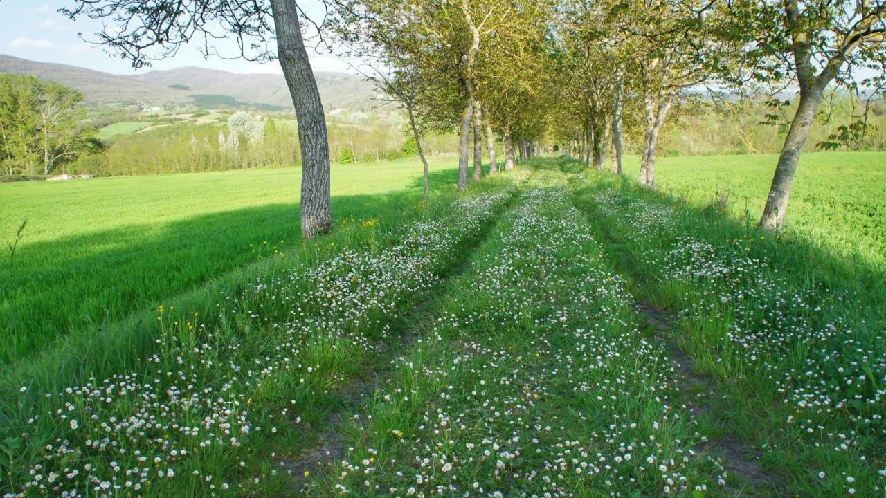 Agriturismo Casa Agricola Rossi Appartamenti In Casentino Soci 外观 照片