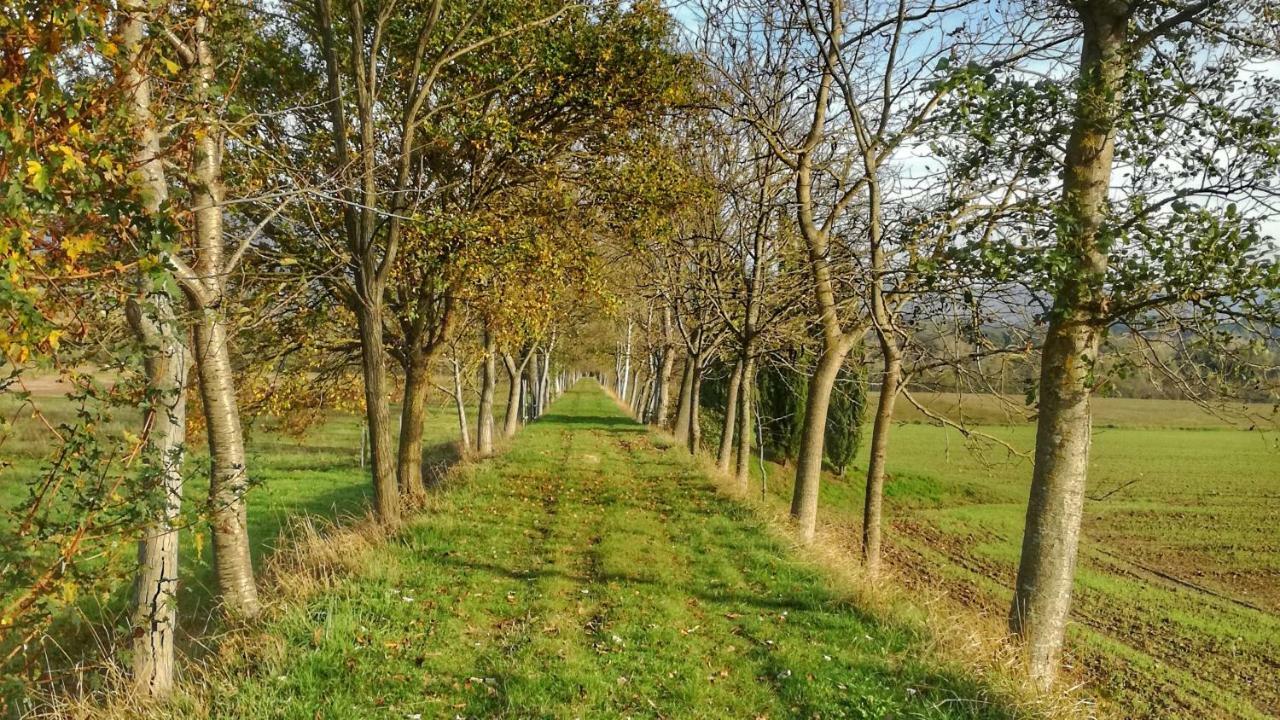 Agriturismo Casa Agricola Rossi Appartamenti In Casentino Soci 外观 照片
