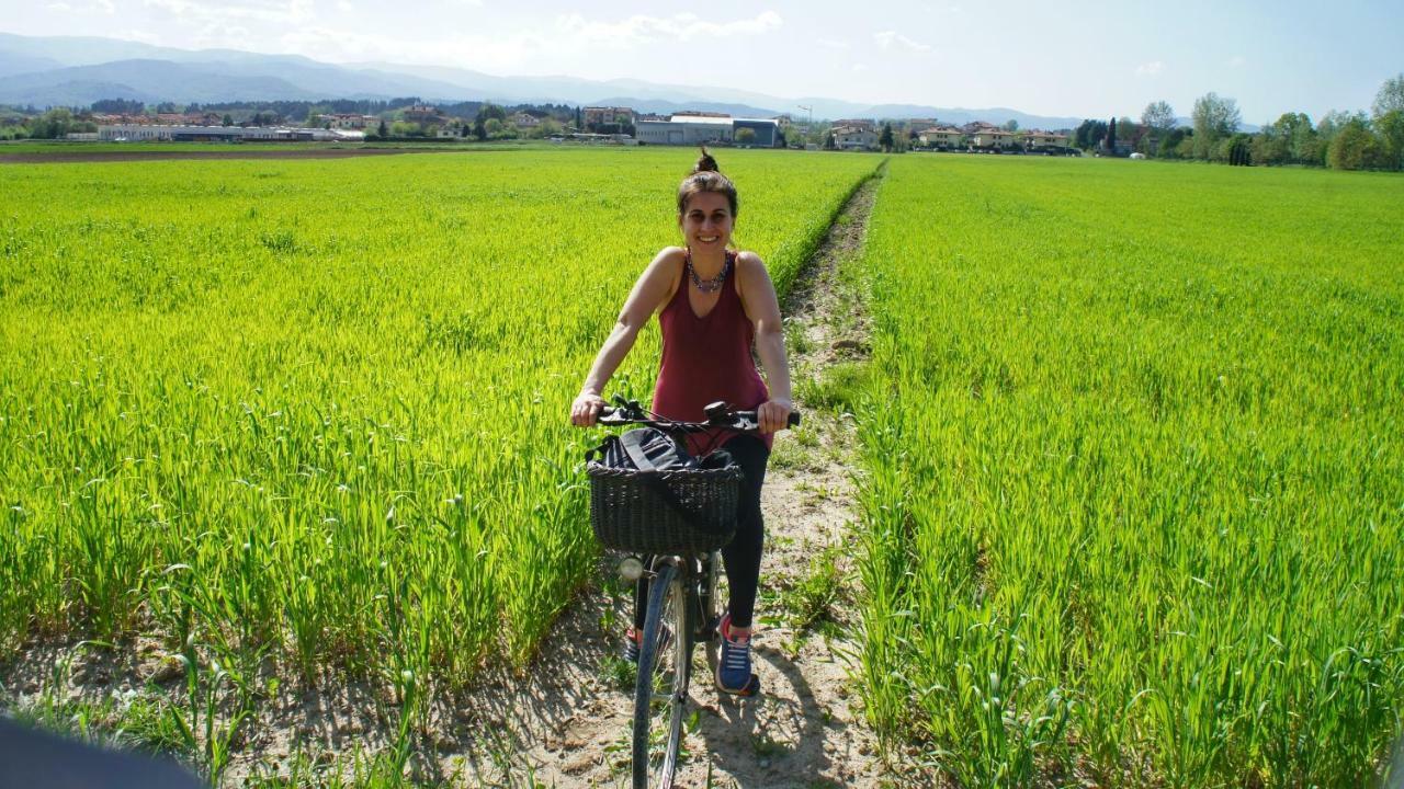 Agriturismo Casa Agricola Rossi Appartamenti In Casentino Soci 外观 照片