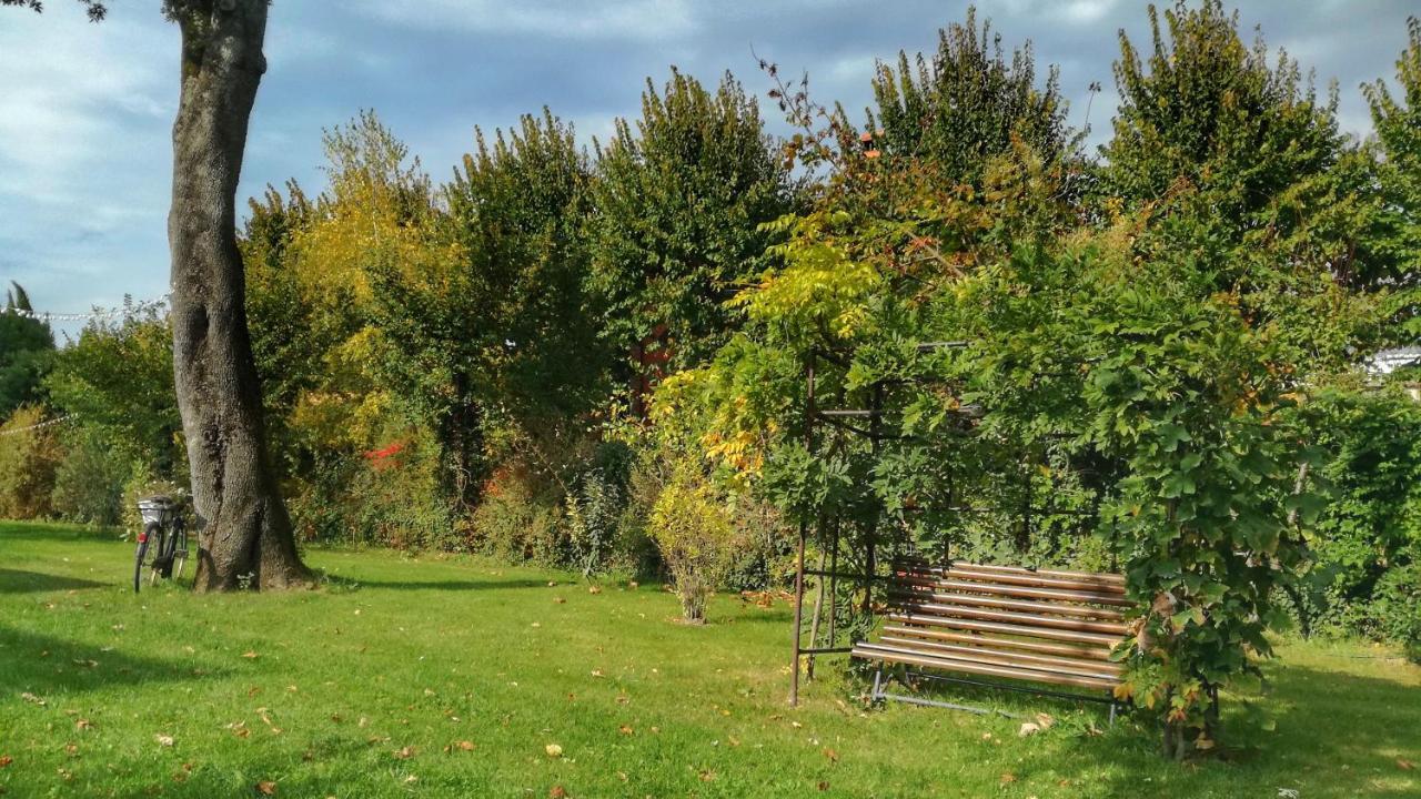 Agriturismo Casa Agricola Rossi Appartamenti In Casentino Soci 外观 照片