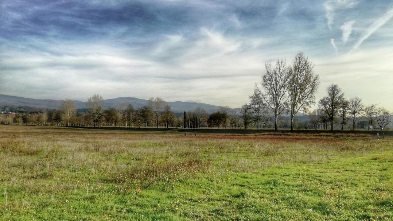 Agriturismo Casa Agricola Rossi Appartamenti In Casentino Soci 外观 照片