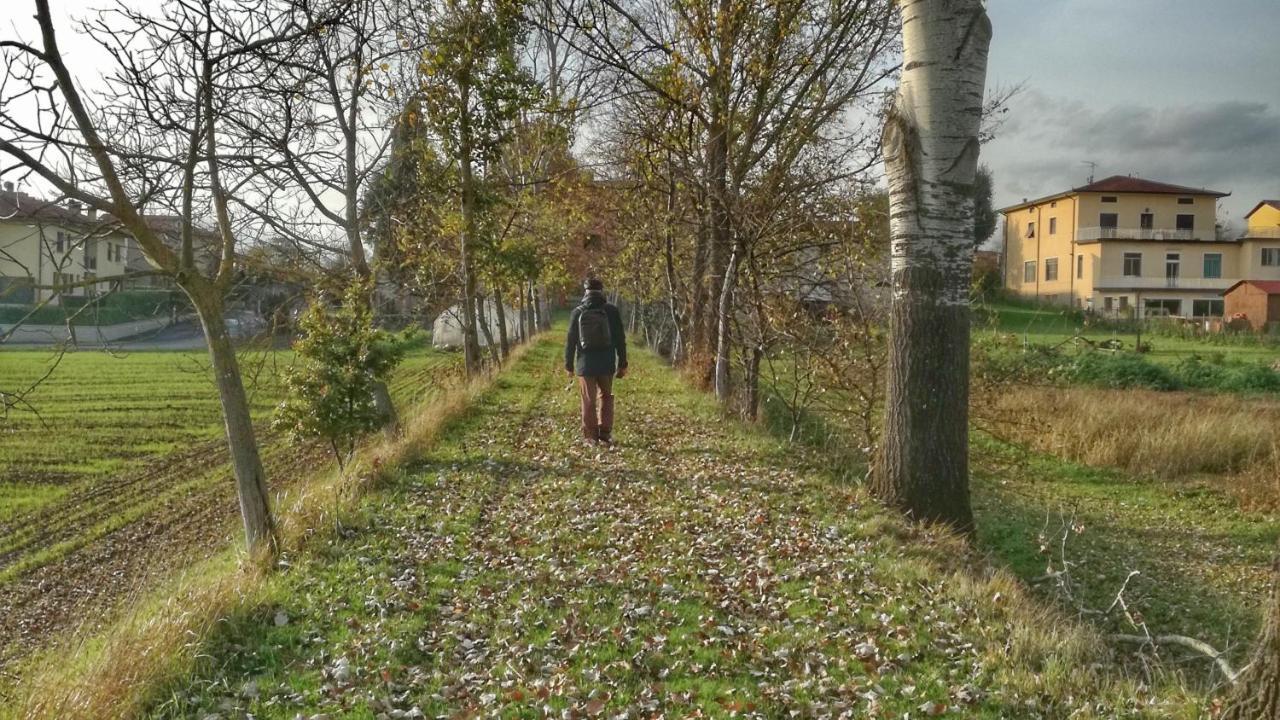 Agriturismo Casa Agricola Rossi Appartamenti In Casentino Soci 外观 照片