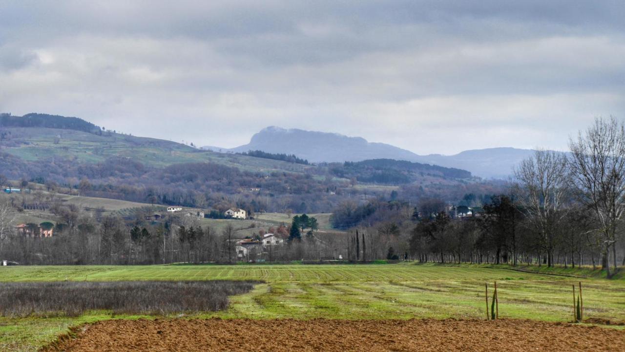 Agriturismo Casa Agricola Rossi Appartamenti In Casentino Soci 外观 照片