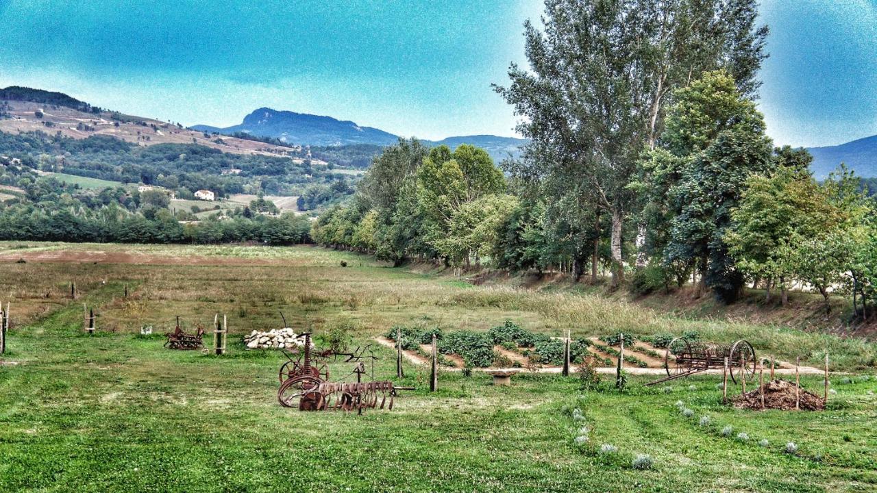 Agriturismo Casa Agricola Rossi Appartamenti In Casentino Soci 外观 照片