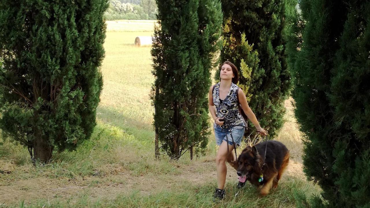 Agriturismo Casa Agricola Rossi Appartamenti In Casentino Soci 外观 照片