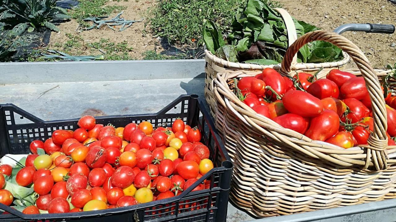Agriturismo Casa Agricola Rossi Appartamenti In Casentino Soci 外观 照片